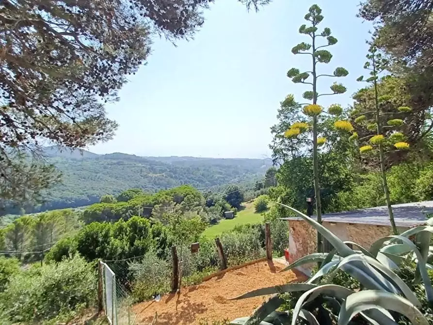 Immagine 7 di Casa semindipendente in vendita  a Livorno