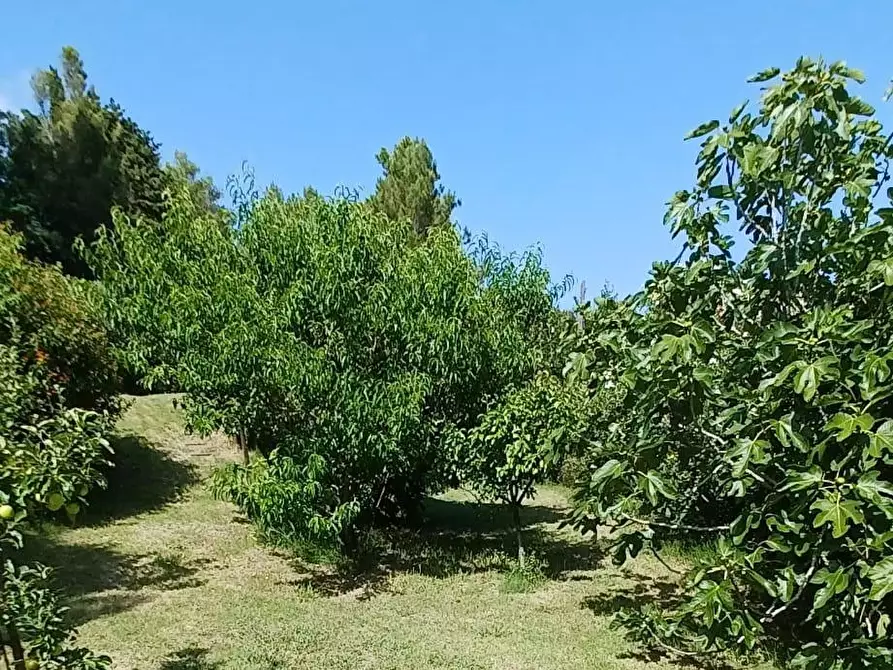 Immagine 54 di Casa semindipendente in vendita  a Livorno