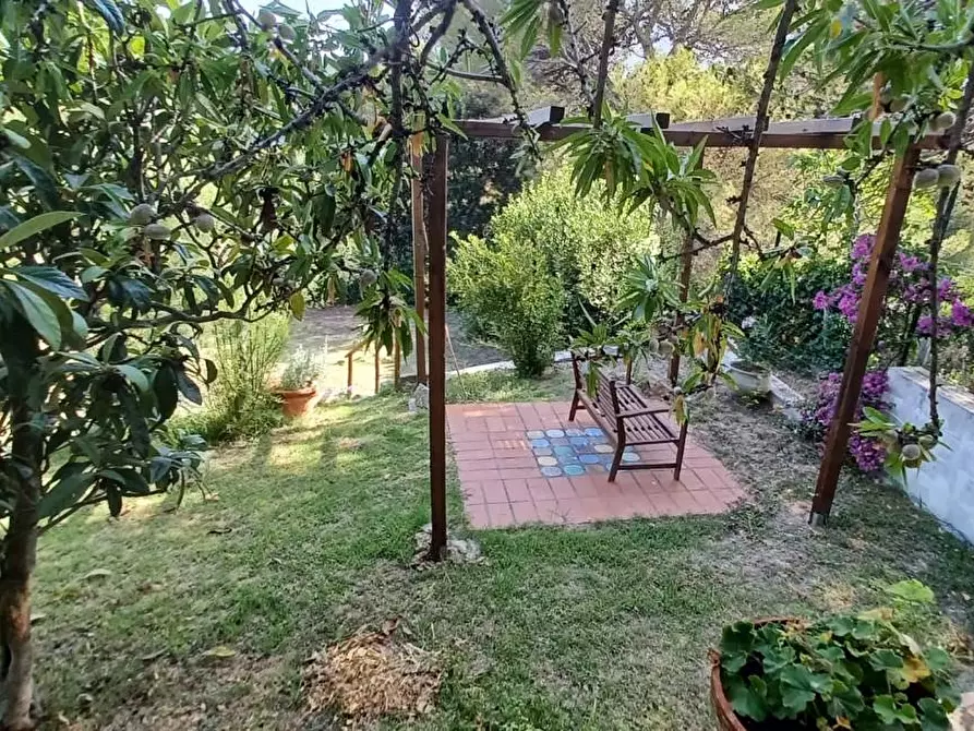 Immagine 32 di Casa semindipendente in vendita  a Livorno