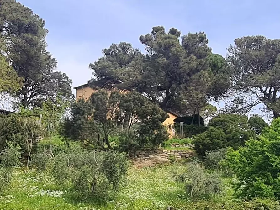 Immagine 53 di Casa semindipendente in vendita  a Livorno