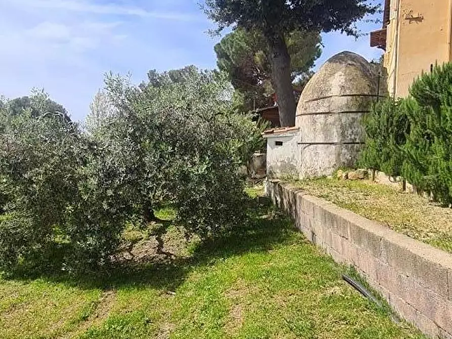 Immagine 50 di Casa semindipendente in vendita  a Livorno