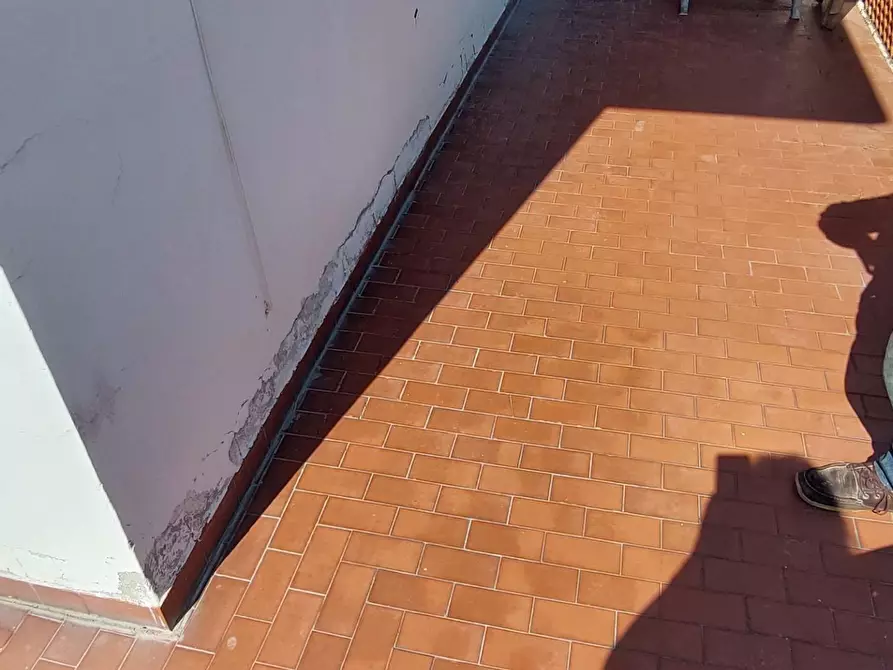 Immagine 13 di Appartamento in affitto  a Viareggio