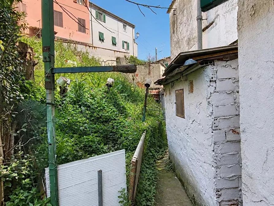Immagine 14 di Casa indipendente in vendita  a Crespina Lorenzana