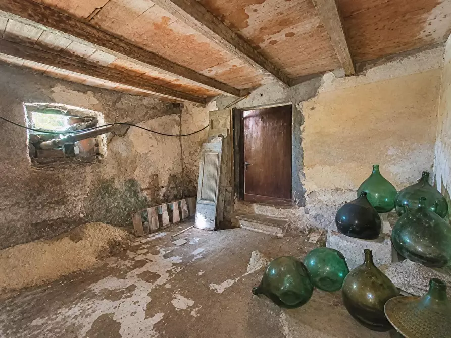 Immagine 17 di Casa indipendente in vendita  a Crespina Lorenzana