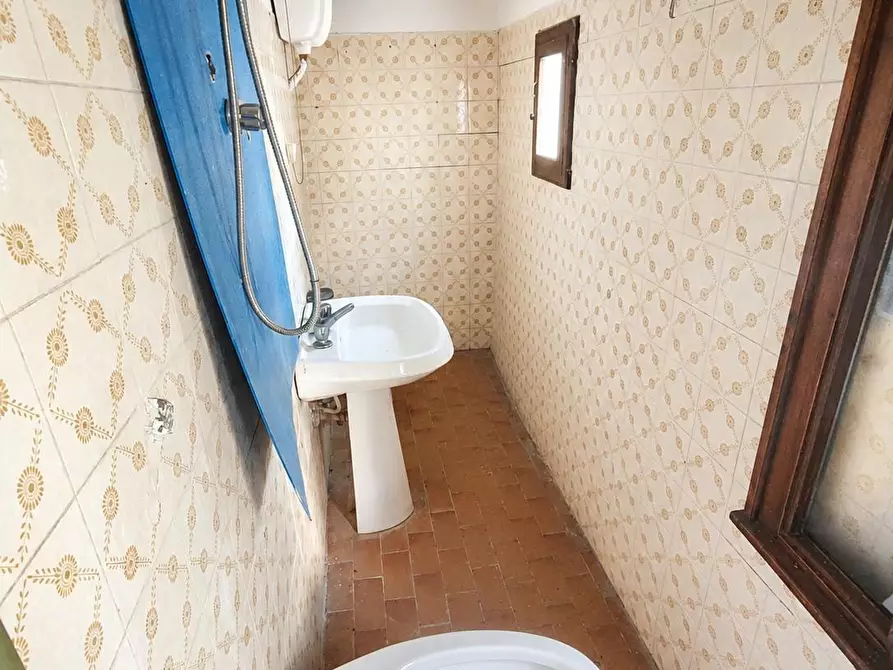 Immagine 9 di Casa indipendente in vendita  a Crespina Lorenzana