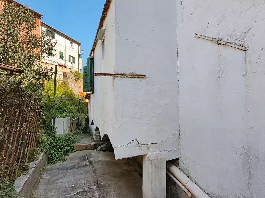 Immagine 16 di Casa indipendente in vendita  a Crespina Lorenzana