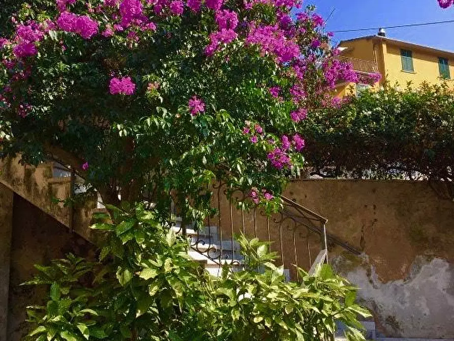 Immagine 3 di Porzione di casa in vendita  a Montignoso