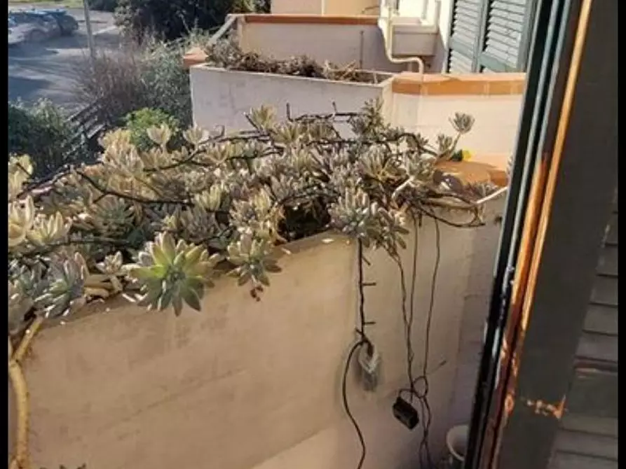 Immagine 9 di Terratetto in vendita  a Capraia E Limite