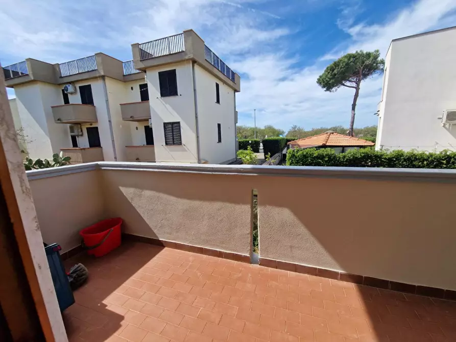 Immagine 13 di Appartamento in affitto  a Rosignano Marittimo