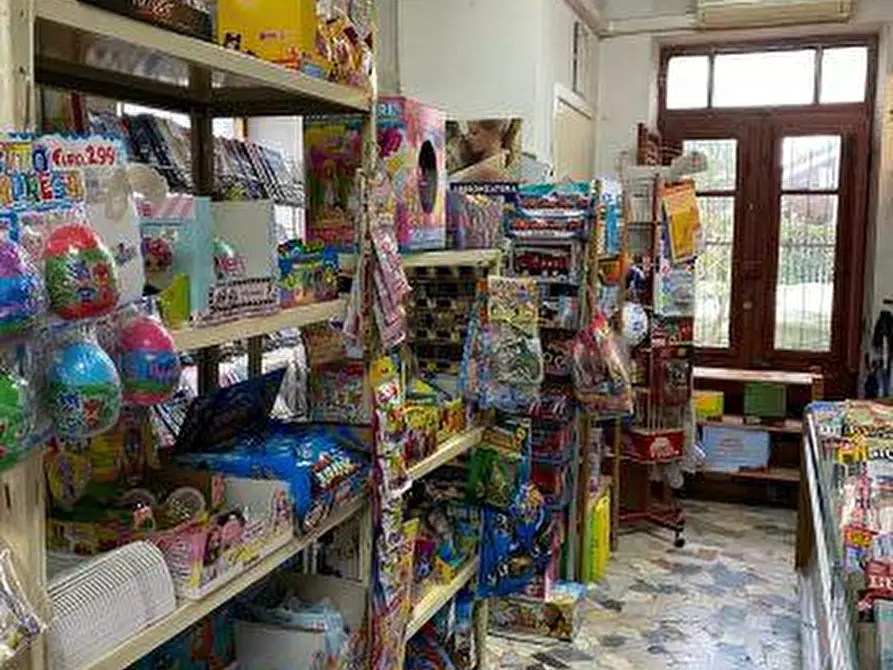 Immagine 4 di Attività commerciale in vendita  a Ameglia