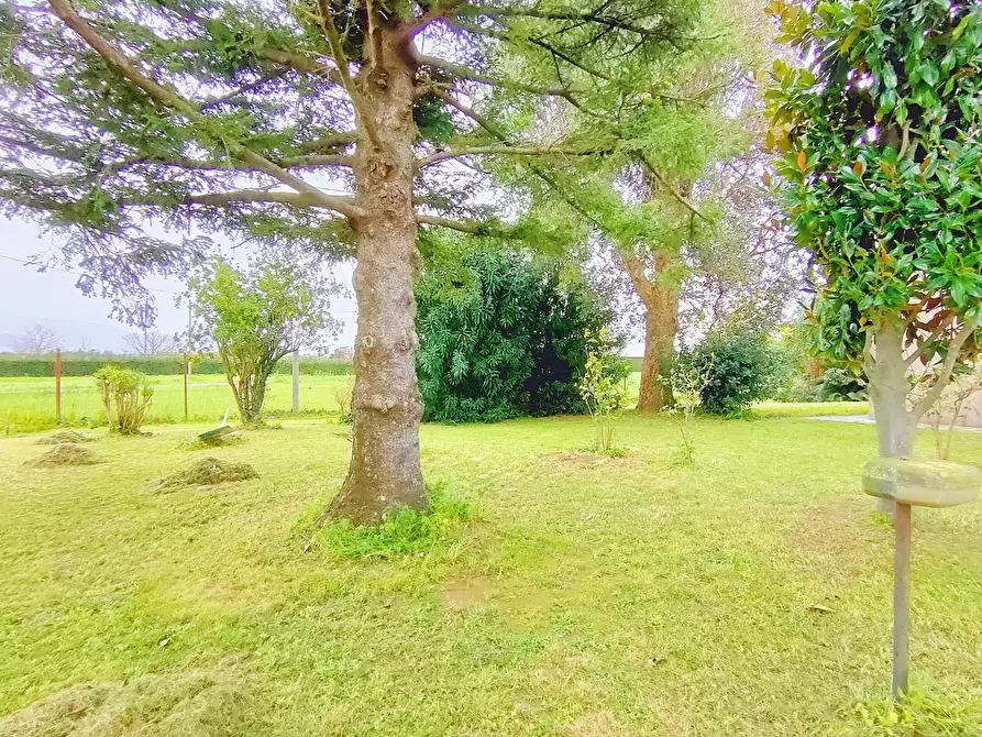 Immagine 2 di Casa indipendente in vendita  a San Giuliano Terme