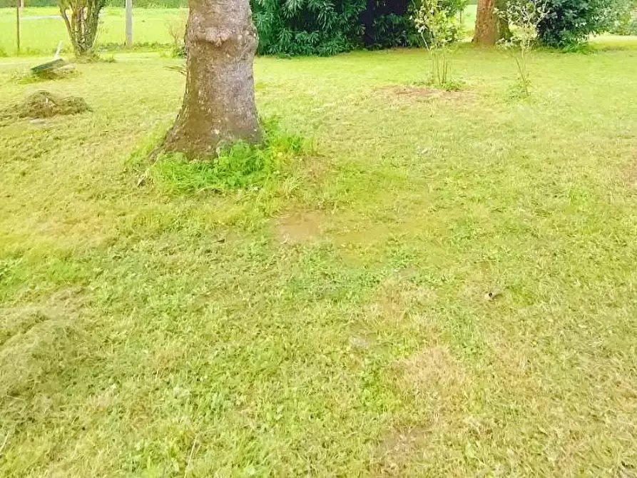 Immagine 4 di Casa indipendente in vendita  a San Giuliano Terme