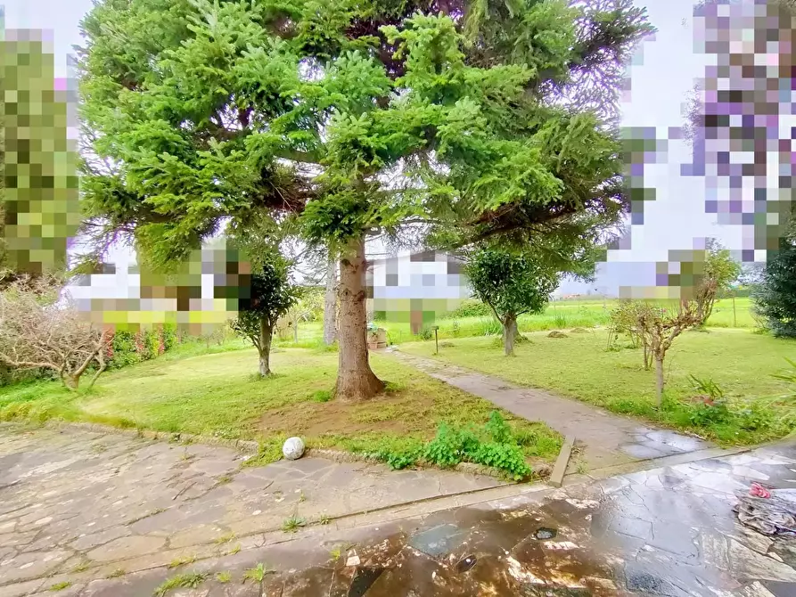 Immagine 5 di Casa indipendente in vendita  a San Giuliano Terme