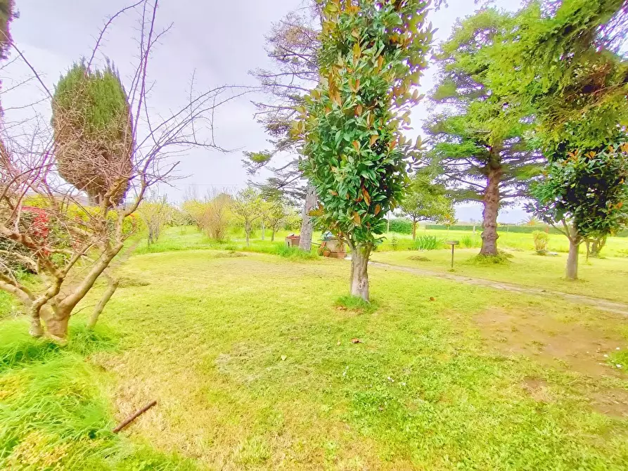 Immagine 3 di Casa indipendente in vendita  a San Giuliano Terme