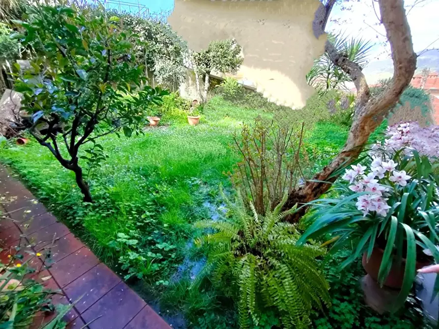 Immagine 2 di Appartamento in vendita  a Massa