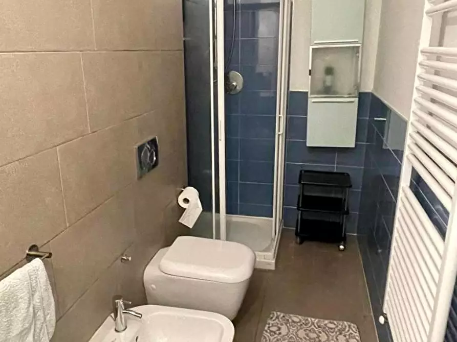 Immagine 20 di Appartamento in affitto  a Pisa