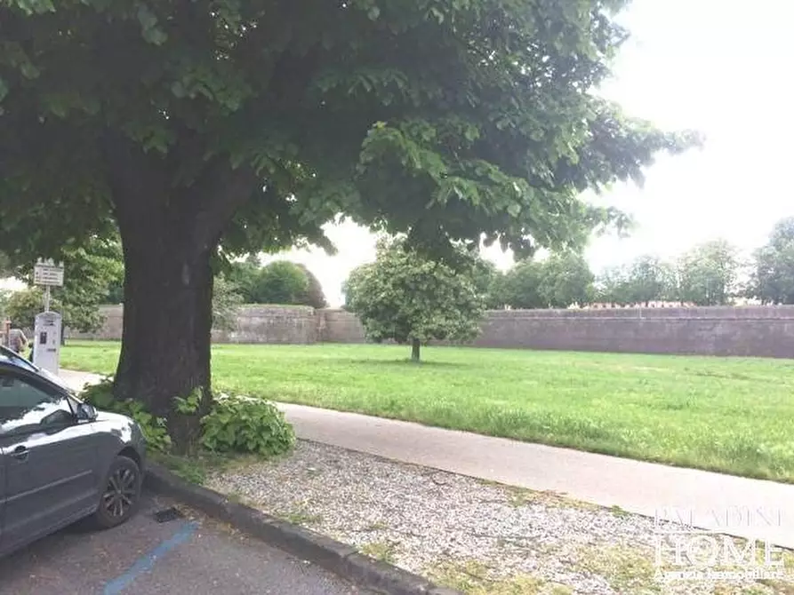 Immagine 6 di Ufficio in vendita  a Lucca