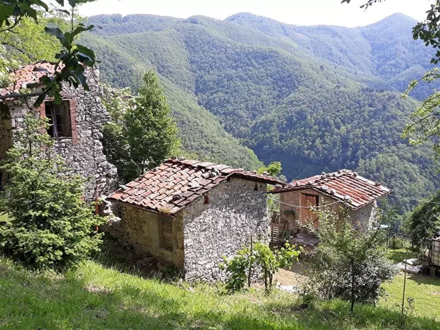 Immagine 1 di Rustico / casale in vendita  a Pescaglia