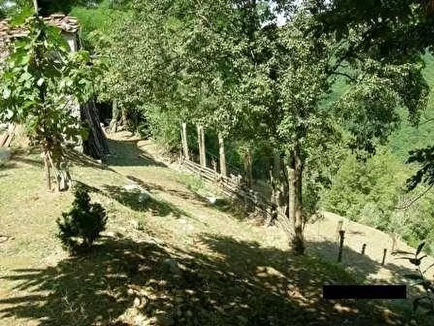 Immagine 13 di Rustico / casale in vendita  a Pescaglia