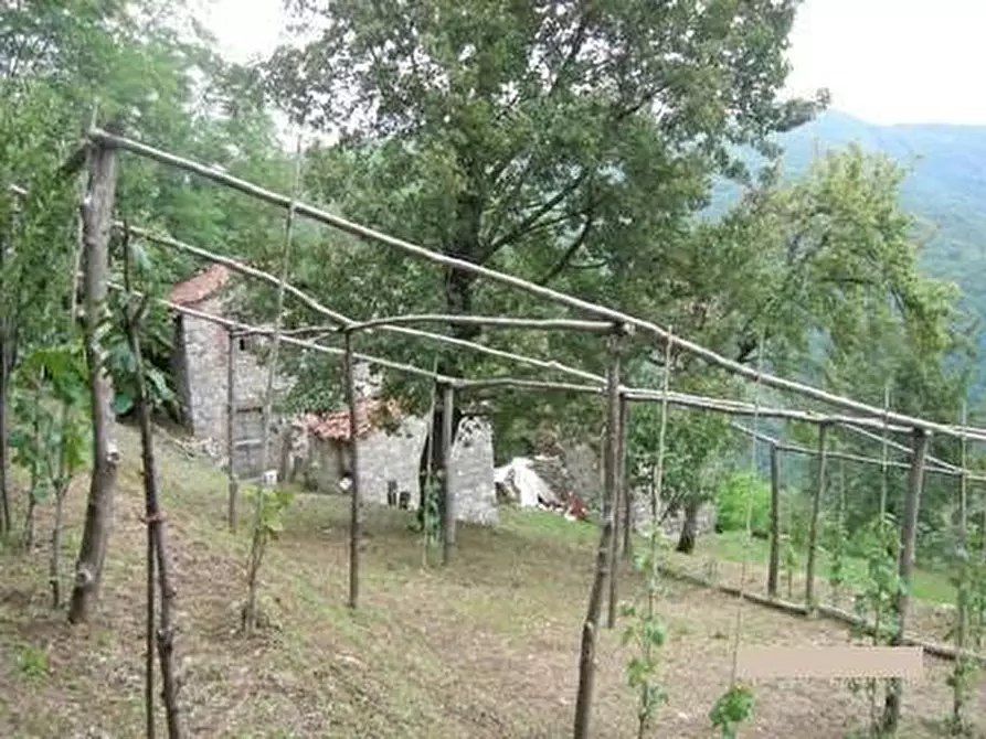 Immagine 10 di Rustico / casale in vendita  a Pescaglia