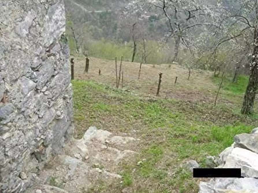 Immagine 11 di Rustico / casale in vendita  a Pescaglia