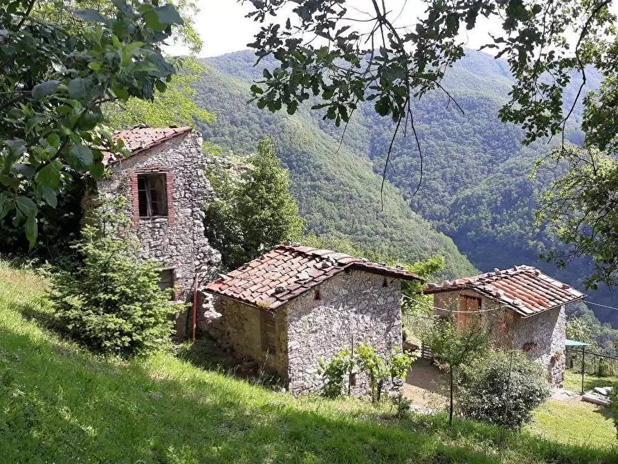 Immagine 3 di Rustico / casale in vendita  a Pescaglia