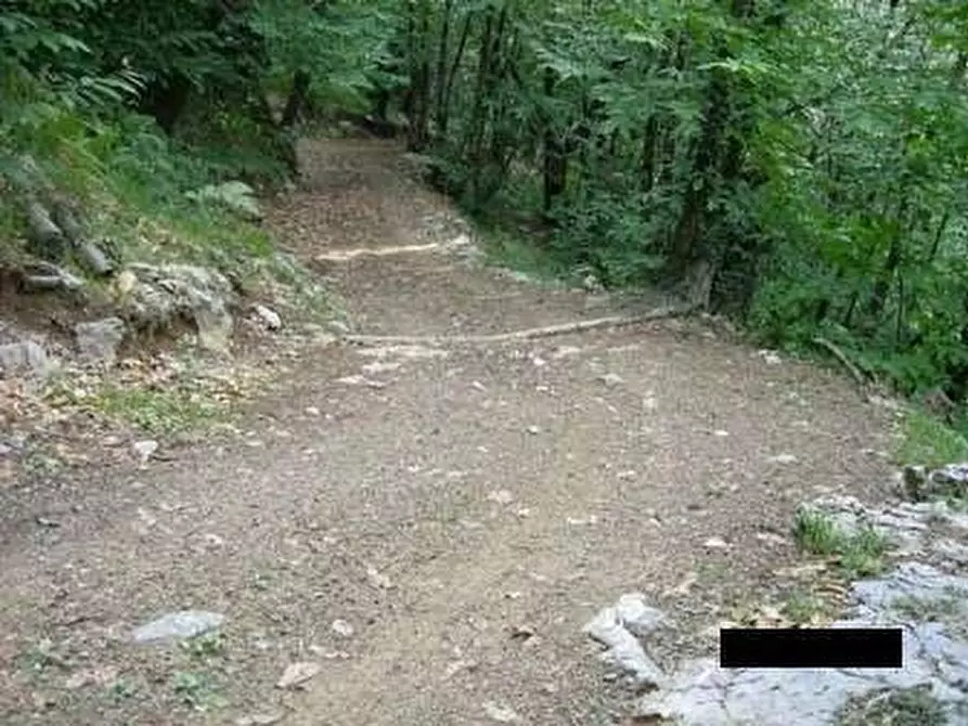 Immagine 15 di Rustico / casale in vendita  a Pescaglia