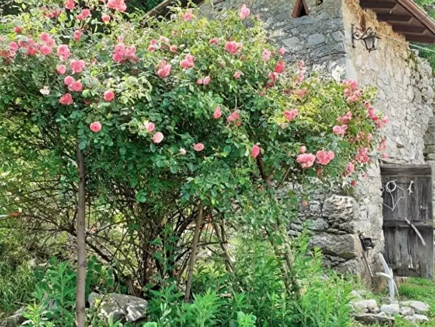 Immagine 14 di Rustico / casale in vendita  a Pescaglia