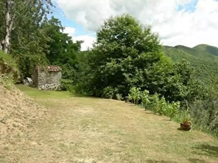 Immagine 8 di Rustico / casale in vendita  a Pescaglia