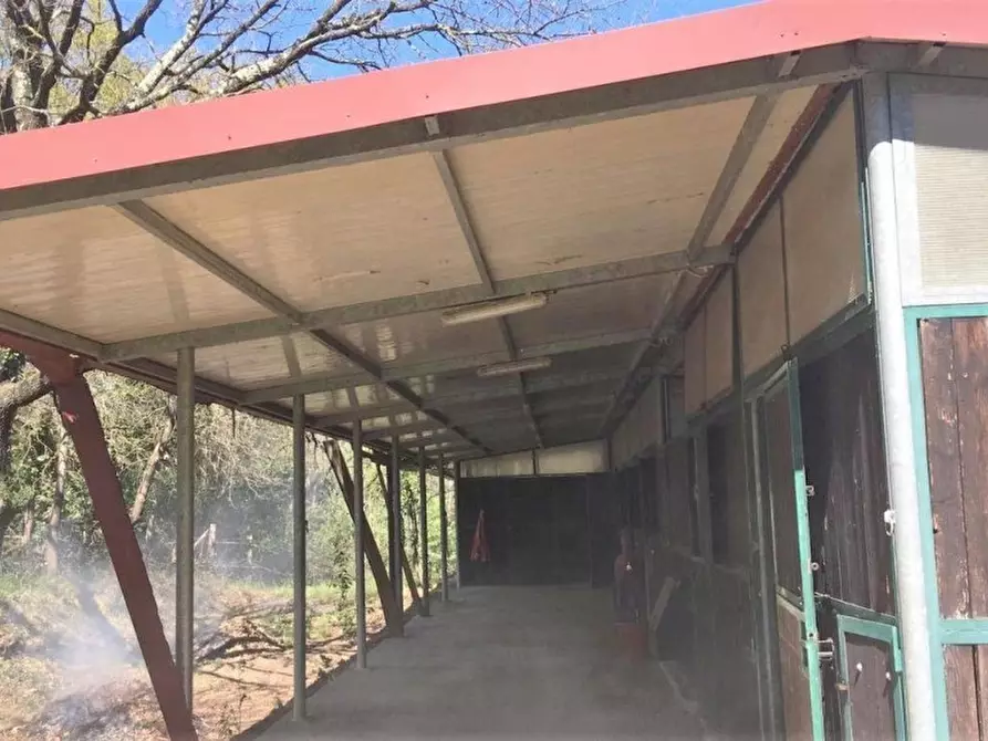 Immagine 7 di Rustico / casale in vendita  a Capannori