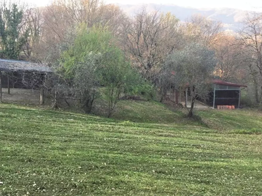 Immagine 6 di Rustico / casale in vendita  a Capannori