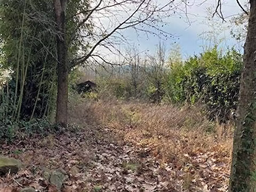 Immagine 4 di Terratetto in vendita  a Capannori