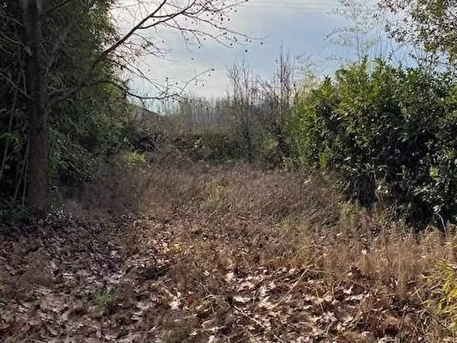 Immagine 5 di Terratetto in vendita  a Capannori