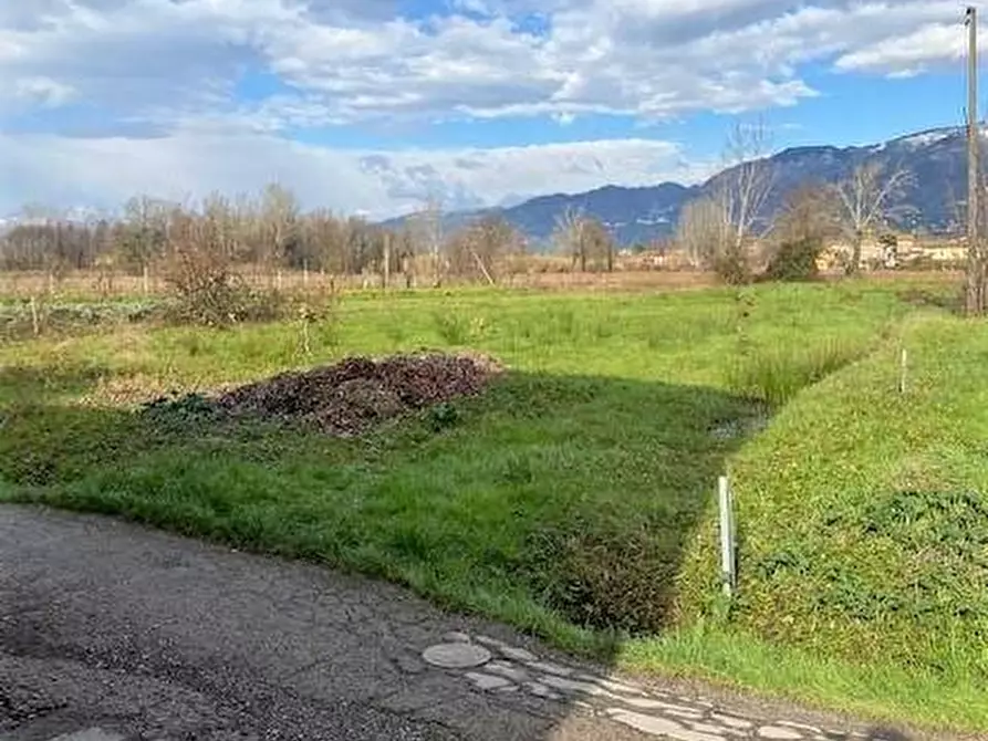 Immagine 6 di Terratetto in vendita  a Capannori