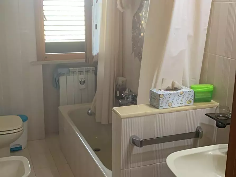 Immagine 12 di Appartamento in vendita  a Capannoli