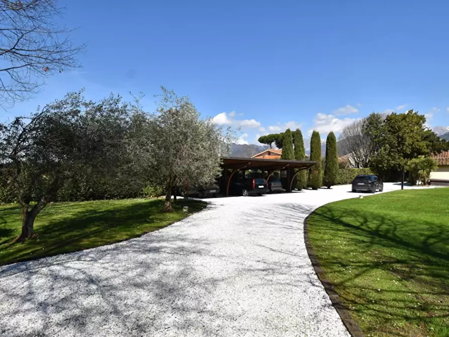 Immagine 11 di Villa in vendita  a Pietrasanta