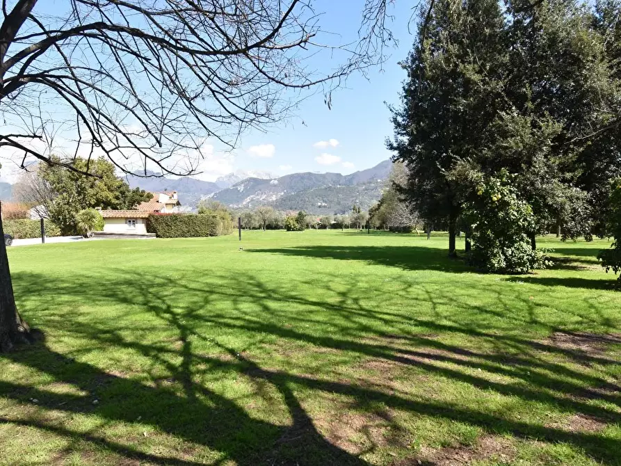 Immagine 9 di Villa in vendita  a Pietrasanta