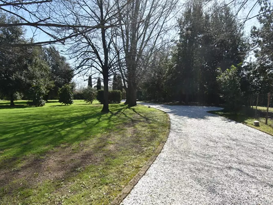 Immagine 13 di Villa in vendita  a Pietrasanta