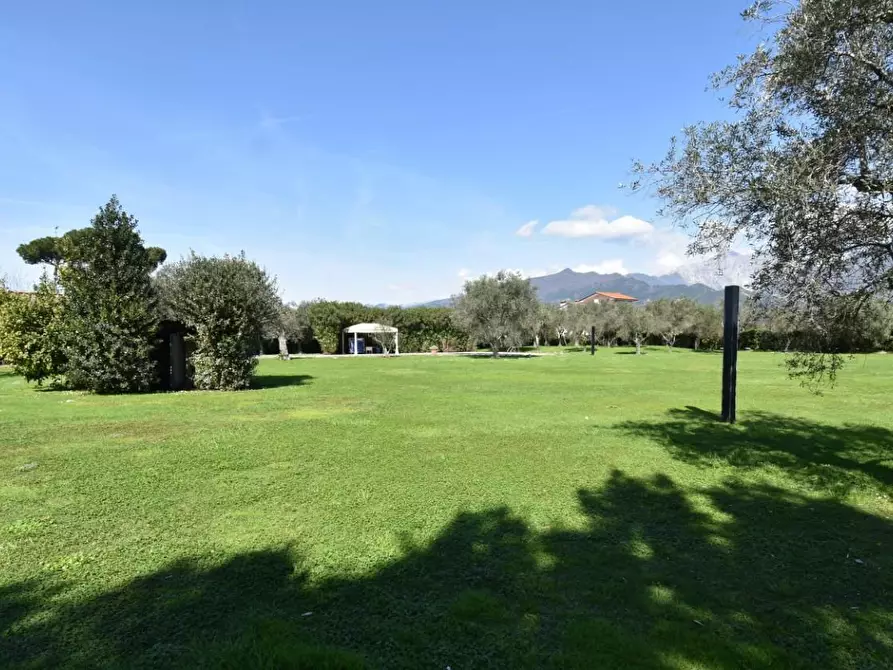 Immagine 17 di Villa in vendita  a Pietrasanta