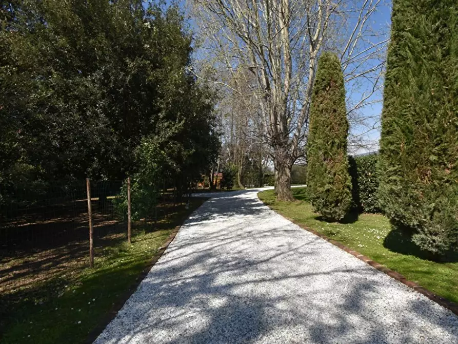 Immagine 5 di Villa in vendita  a Pietrasanta