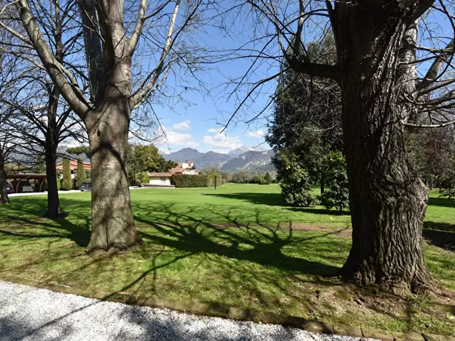 Immagine 6 di Villa in vendita  a Pietrasanta