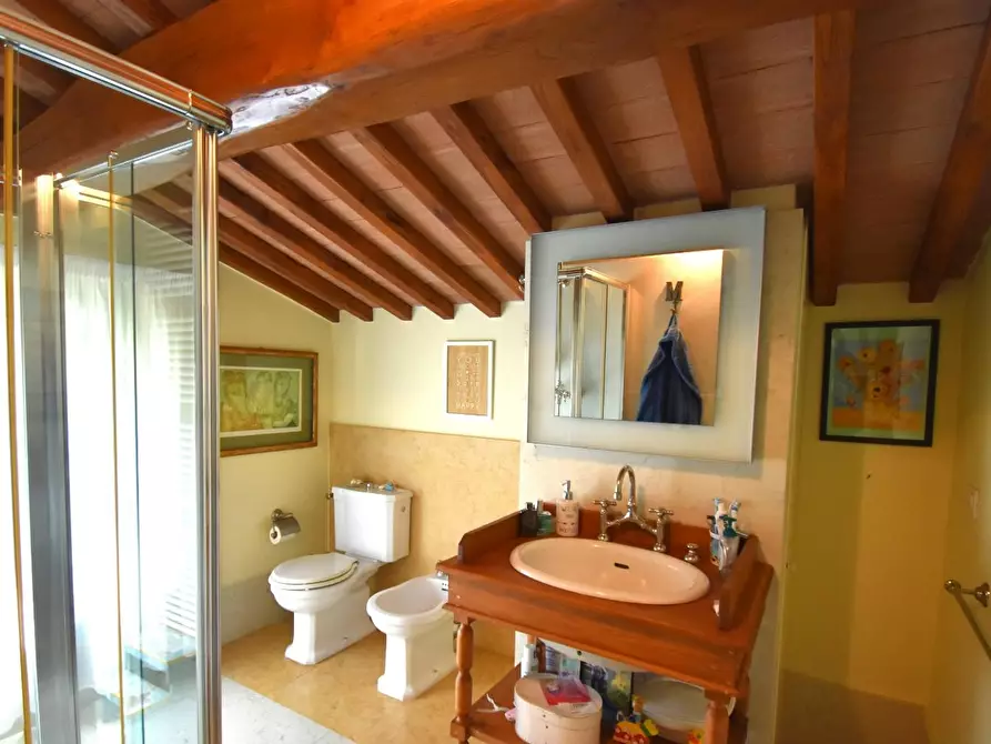 Immagine 64 di Villa in vendita  a Pietrasanta