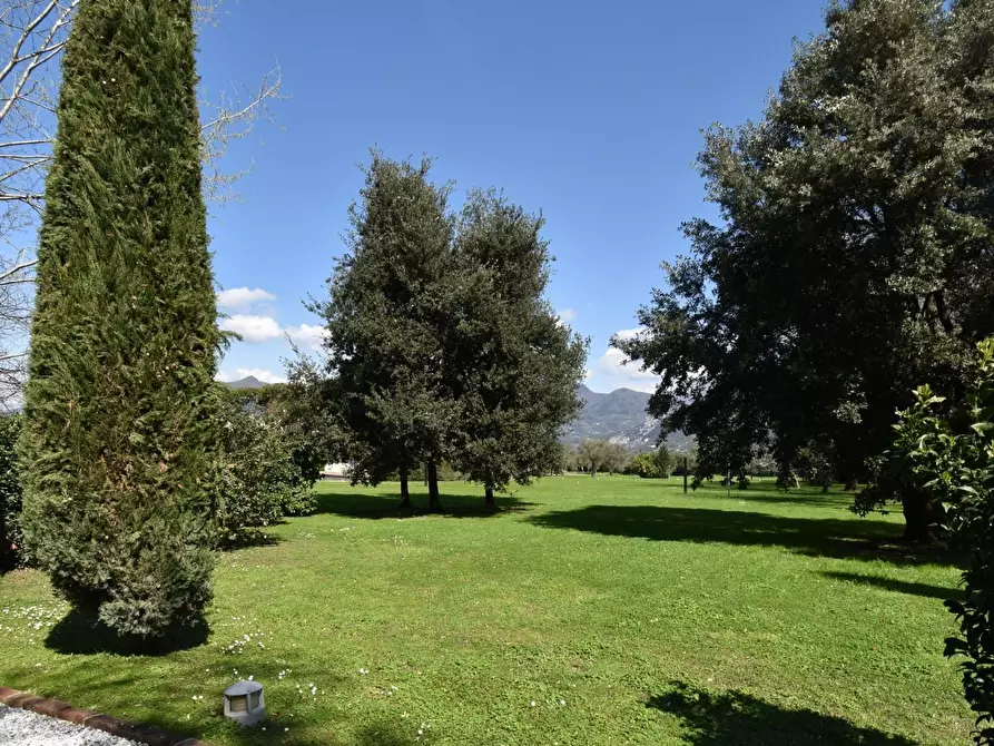 Immagine 4 di Villa in vendita  a Pietrasanta