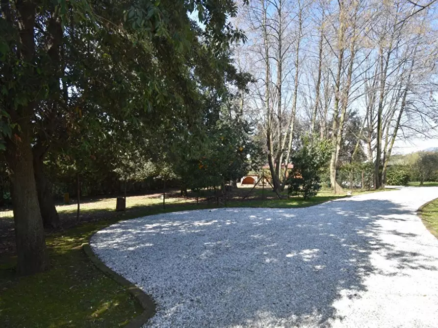 Immagine 7 di Villa in vendita  a Pietrasanta