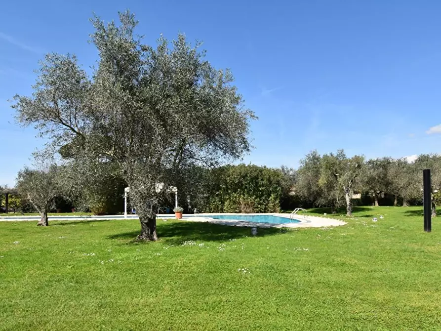 Immagine 19 di Villa in vendita  a Pietrasanta