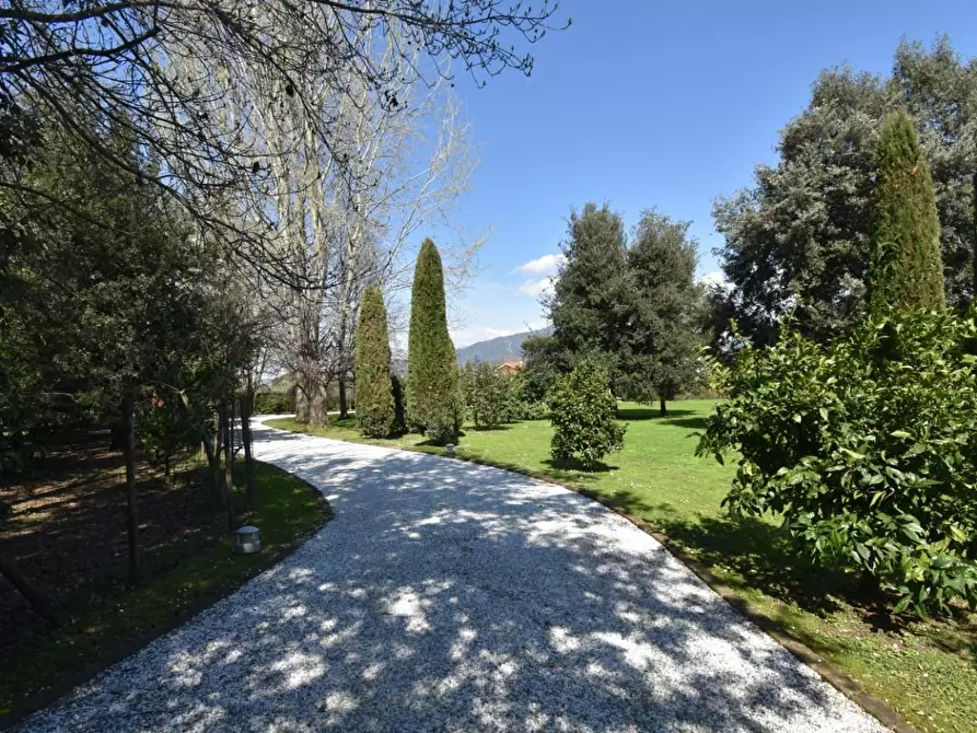 Immagine 3 di Villa in vendita  a Pietrasanta