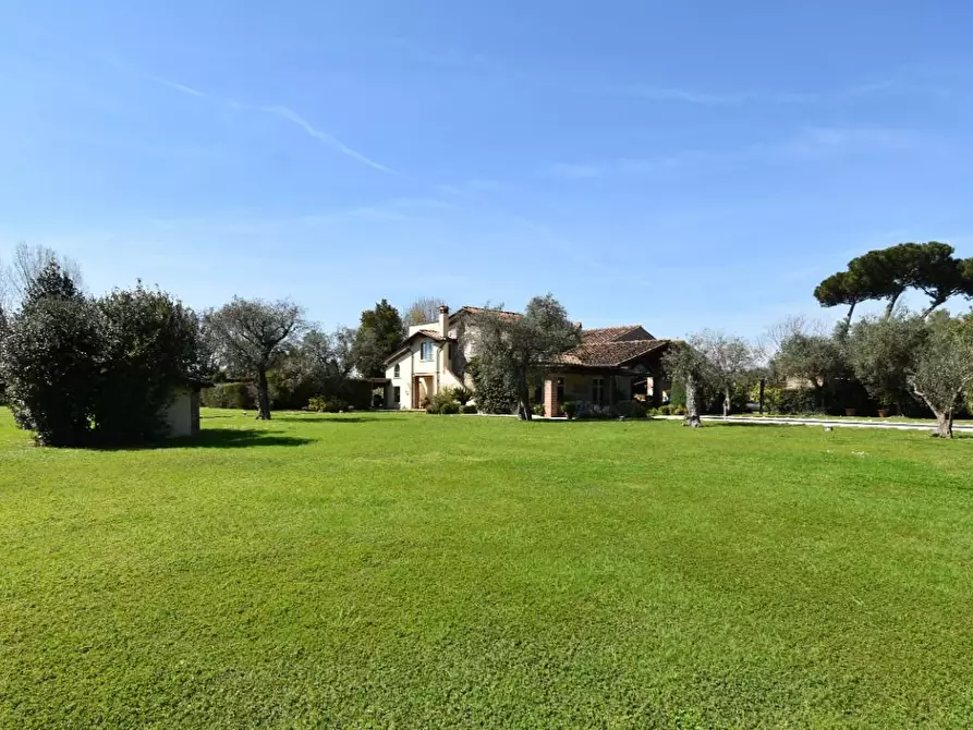 Immagine 18 di Villa in vendita  a Pietrasanta