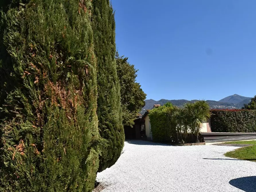 Immagine 14 di Villa in vendita  a Pietrasanta