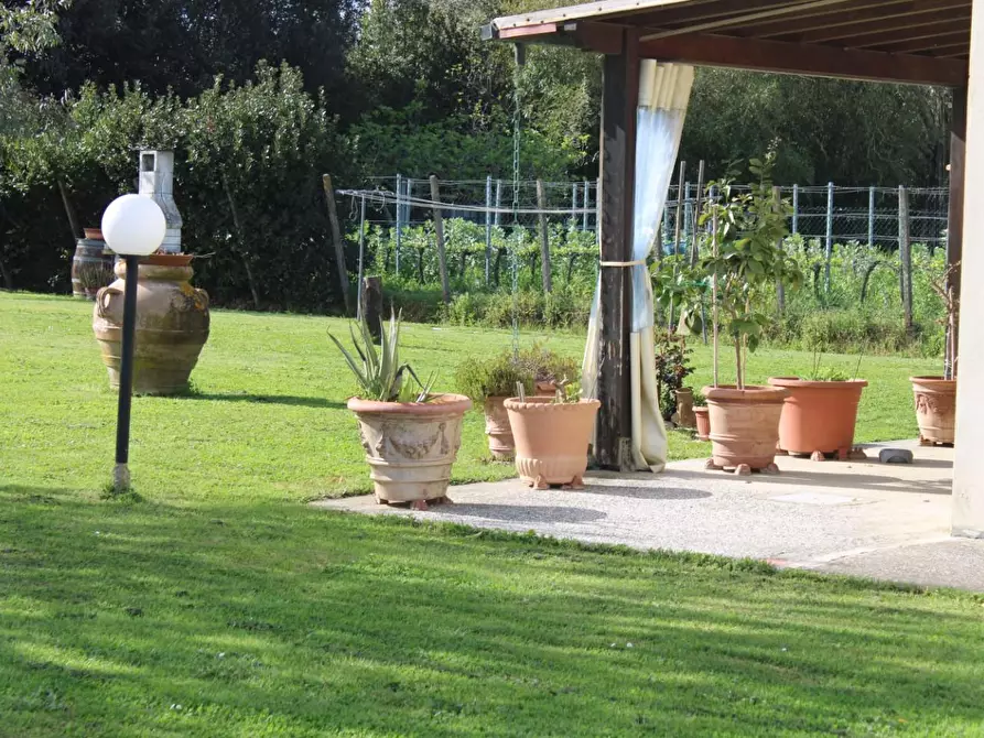 Immagine 21 di Casa indipendente in vendita  a Fauglia