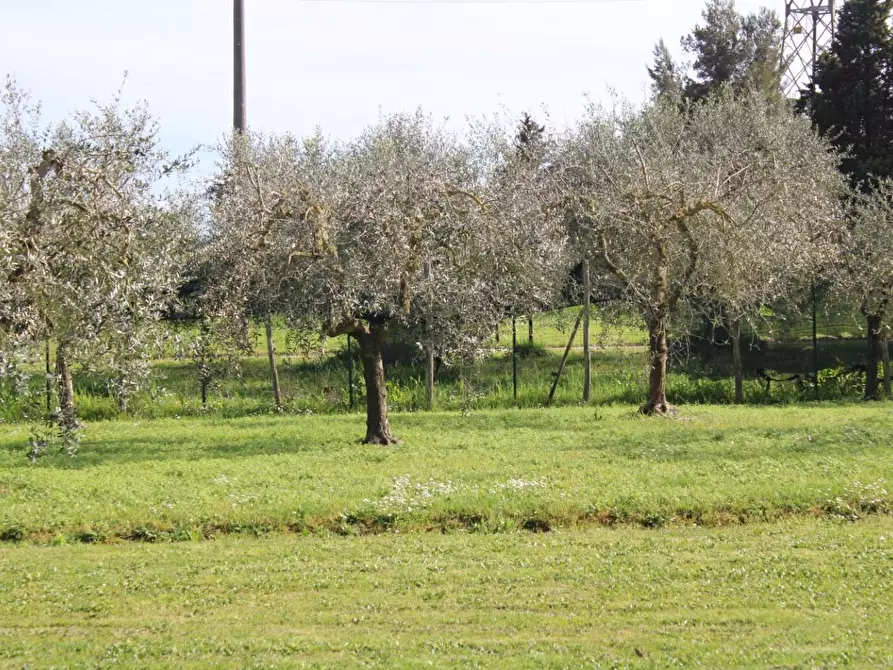 Immagine 27 di Casa indipendente in vendita  a Fauglia